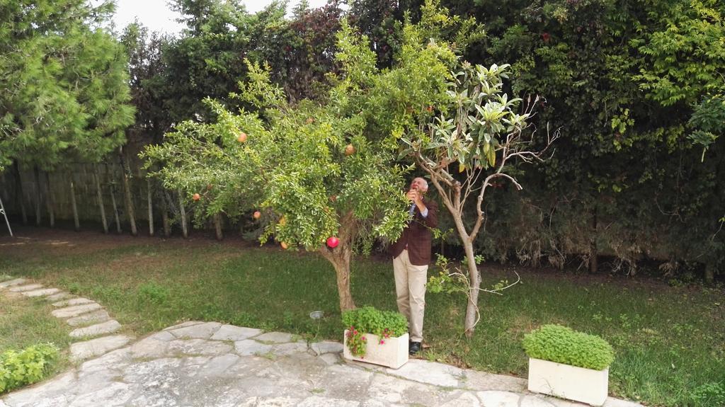 Villa Memia Lendinuso Dış mekan fotoğraf